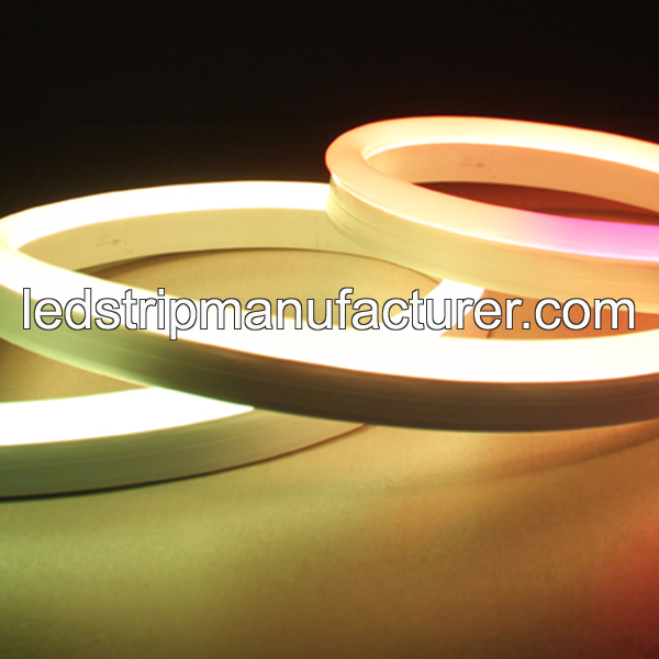 led neon digital flex rope light side emitting 9(W)x22(H)mm 5050 60Led/m 12V IP68