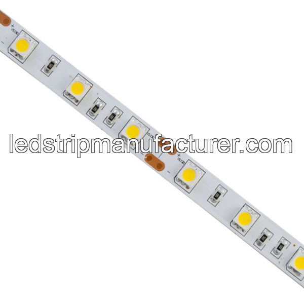 5050 led strip lights 48led/m 12V 10mm width