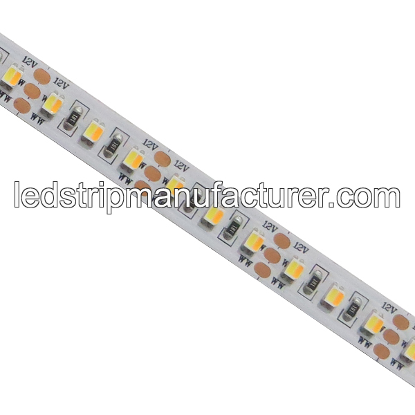 3528 Color Temperature Adjustable LED Strip Lights 2CHIPS IN 1 LED 120led/m 24V 10mm width